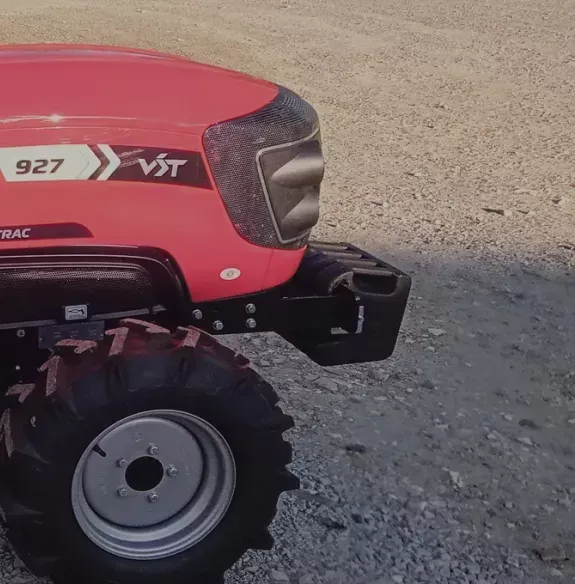 Autoportée à Pervenchères